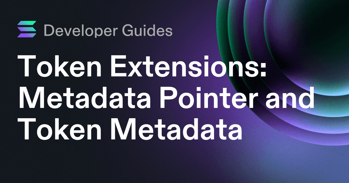 How to use the Metadata Pointer extension